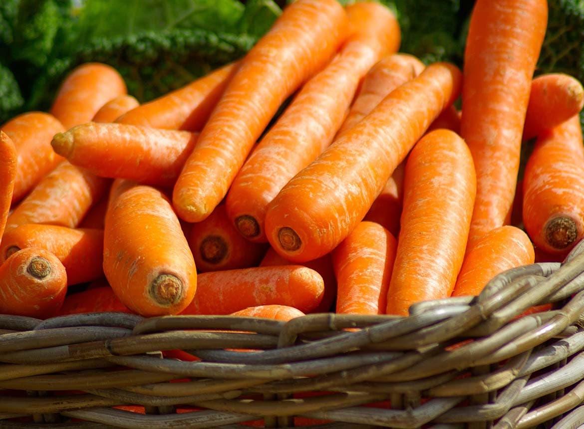Field Vegetables grown at Vrolyk Farms